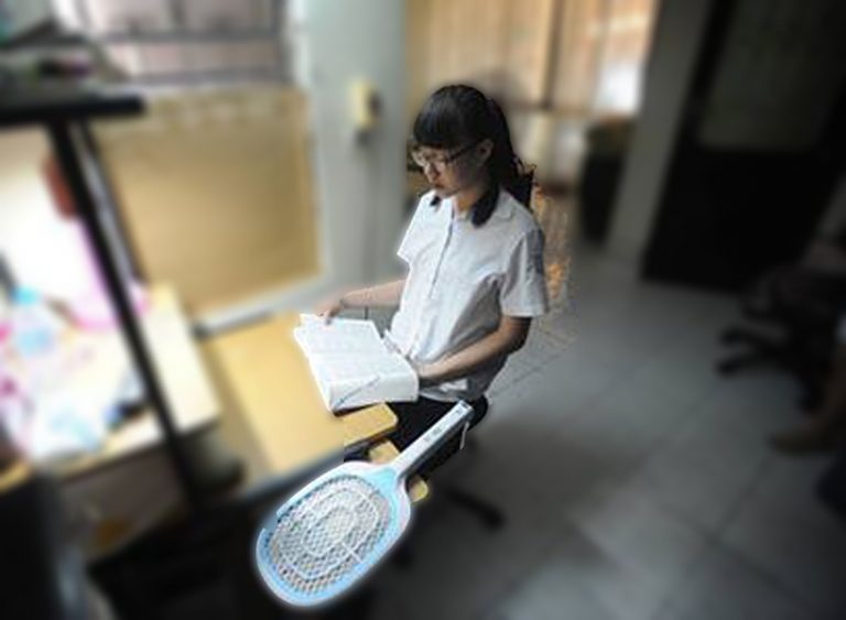 CÂY VỢT MUỖI VÀ NHỮNG ĐIỀU ĐÁNG SUY NGẪM.