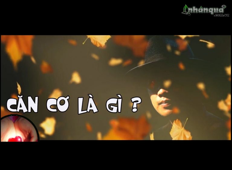 ” CĂN CƠ ” LÀ GÌ ?