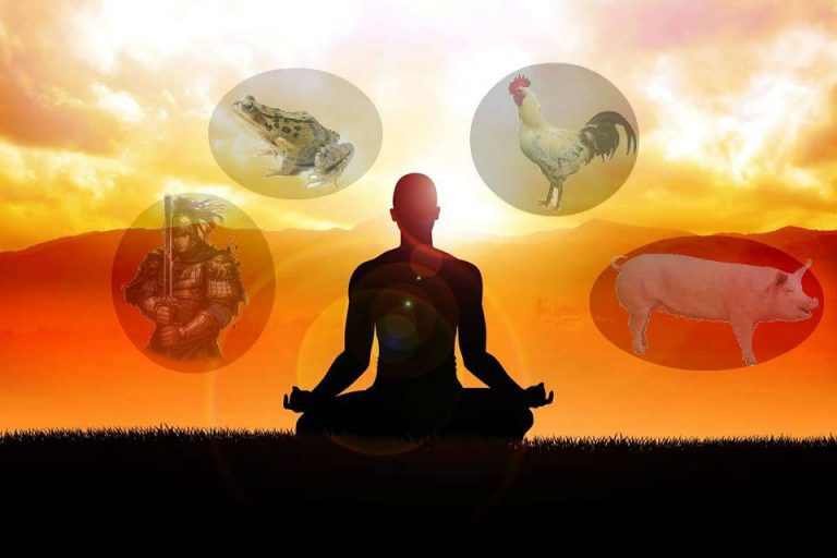 3 KIẾP NGƯỜI, 10 KIẾP THÚ